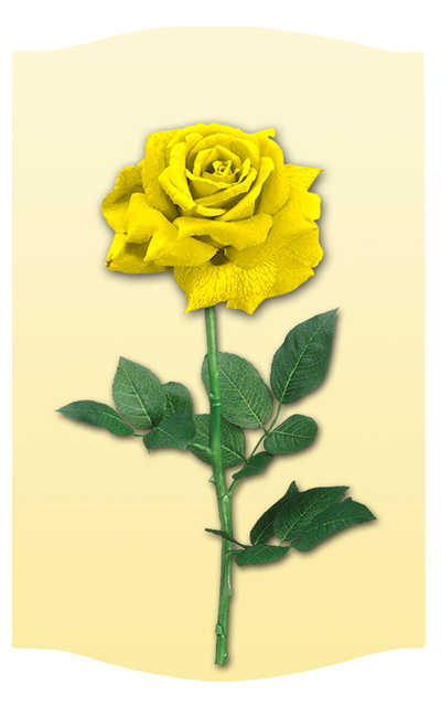 DNSLOG C 083 YE New Yellow Rose  